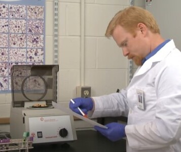 Клиника лечения наркозависимости в Полярных Зорях Врач в кабинете клиники